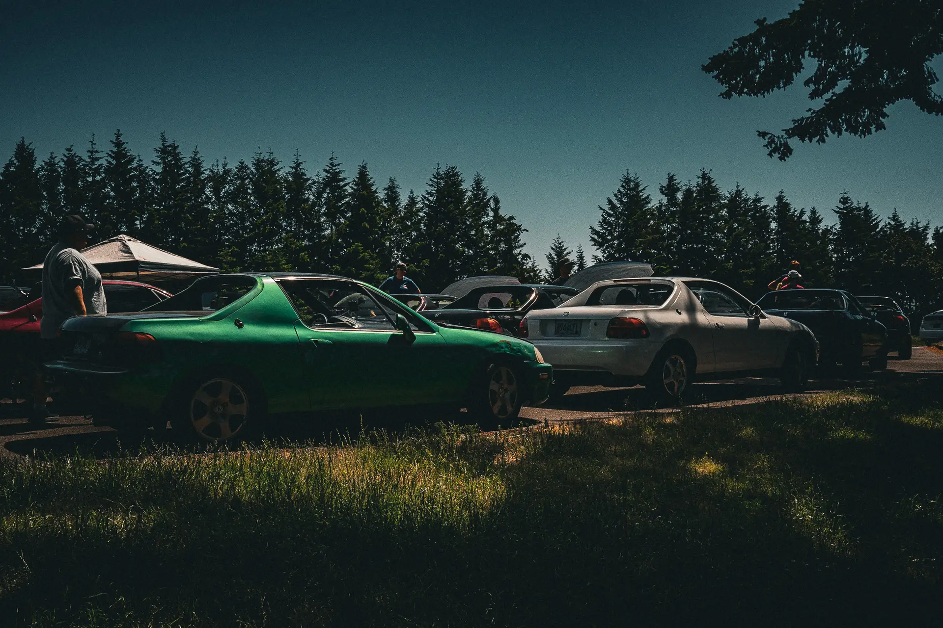 A group of cars are parked in an outdoor lot under a clear sky at the Pacific Northwest Meet 2024. The scene is shaded by nearby trees, and the cars are positioned in a line, with greenery and a row of tall conifer trees in the background. One car appears to be painted green, and another one is silver.